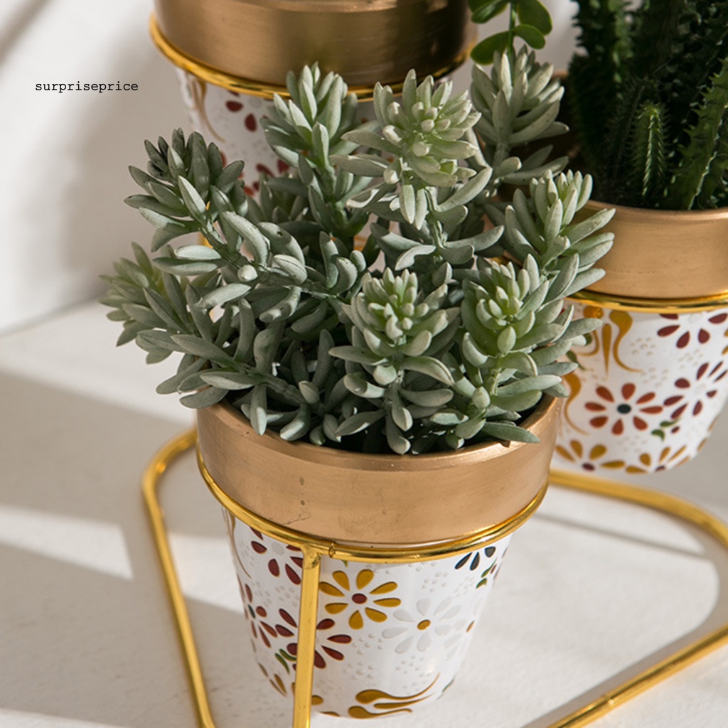 1 Bộ Chậu Trồng Cây Di Động Lâu Trôi Chống Ăn Mòn Trang Trí Sân Vườn