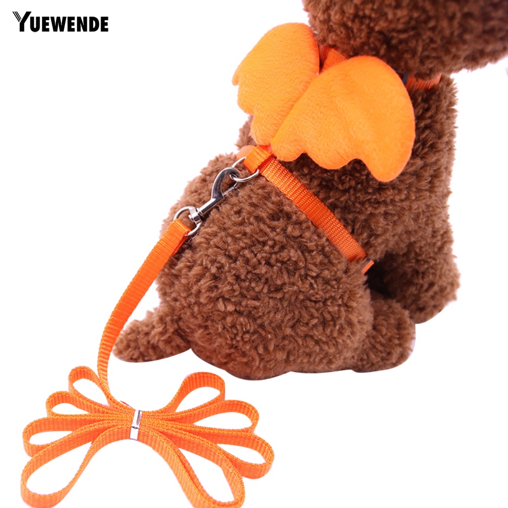 Dây Dắt Thú Cưng Đi Dạo Hình Đôi Cánh Dễ Thương