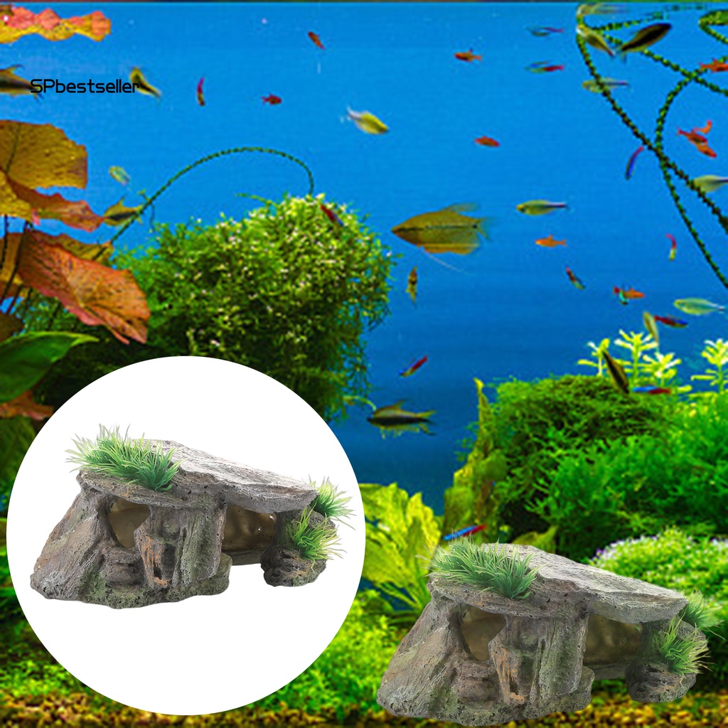 Bể Nuôi Rùa / Bò Sát Bằng Nhựa Resin Không Phai Màu