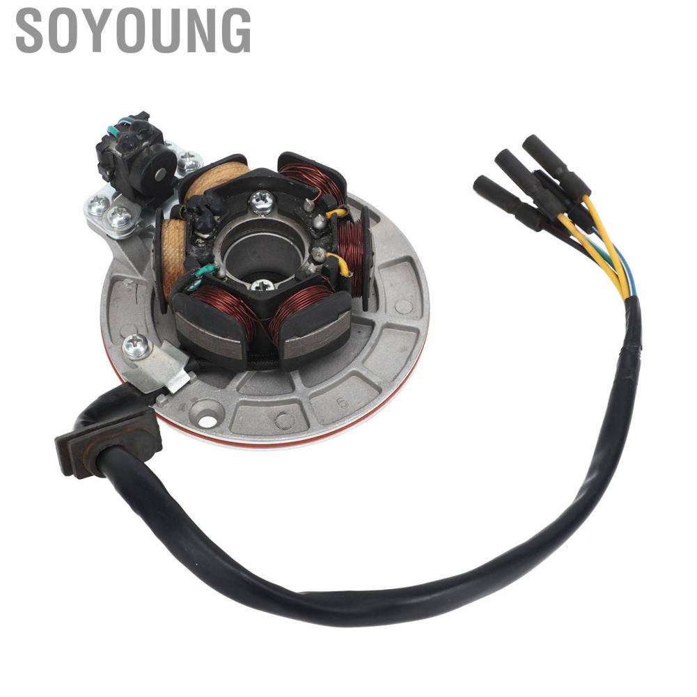 Soyoung Magneto Stator Coil  5 Wire Powerful for 150cc 160cc Kick Start Engine