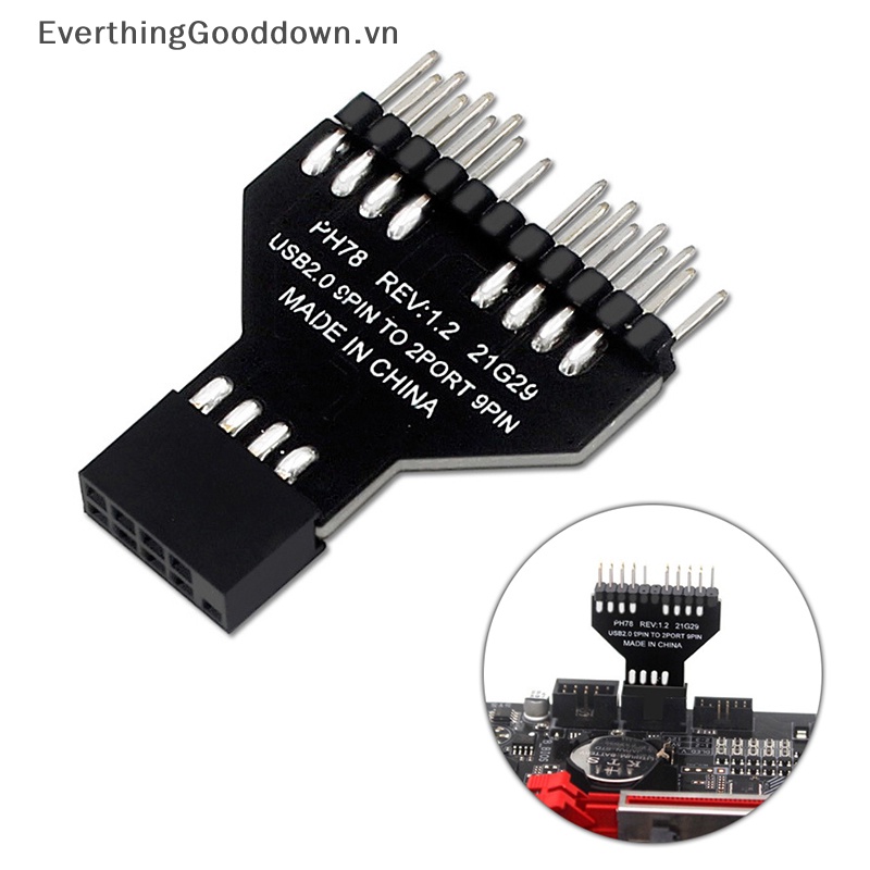 Everthingood Cáp Nối Bo Mạch Chủ Chuyển Đổi USB 2.0 1 Sang 2 Cổng 9 Pin