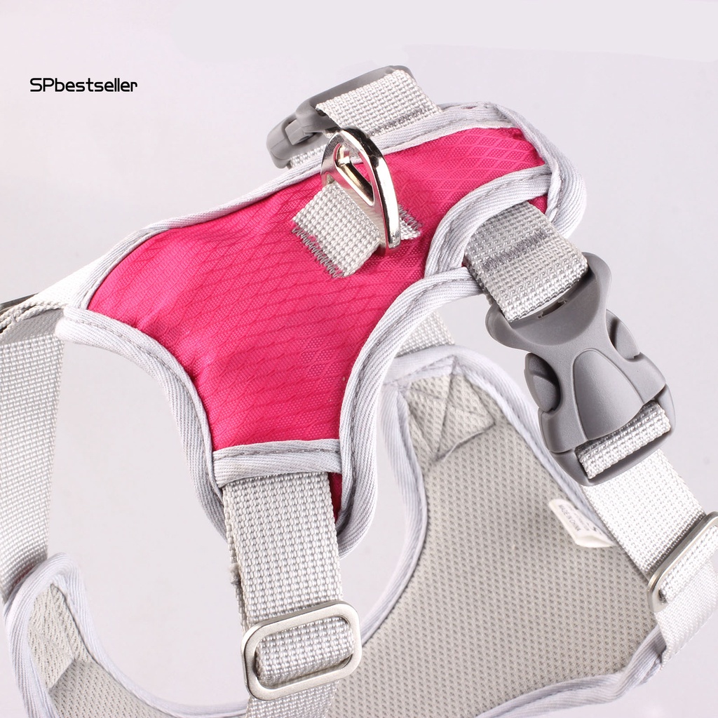 Đai Dắt Thú Cưng Đi Dạo Có Khóa Cài Dễ Điều Chỉnh