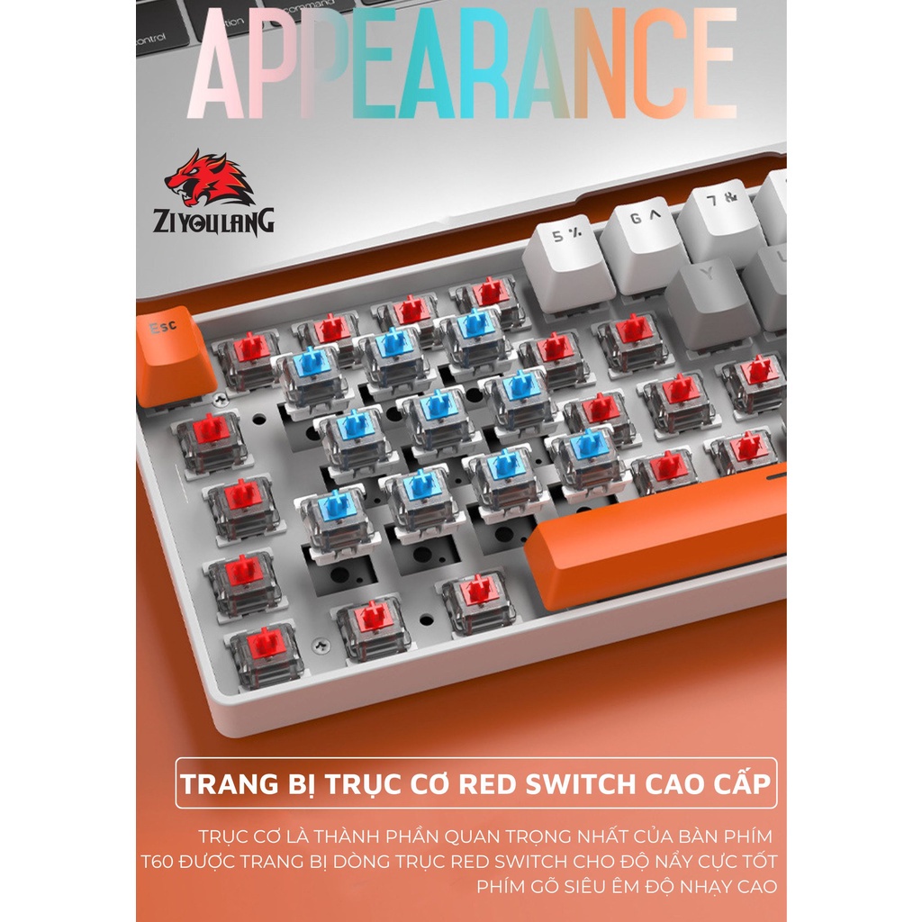 Bàn phím cơ T60 RED, BLUE SWITCH ZIYOULANG kết nối Type-C bàn phím chơi game 62 phím 18 chế độ led Rainbow, bh 12 tháng