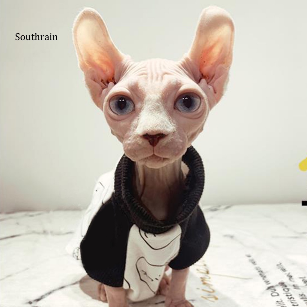 Áo Thun Cổ Cao Bằng Vải Cotton Thoáng Khí Dành Cho Thú Cưng