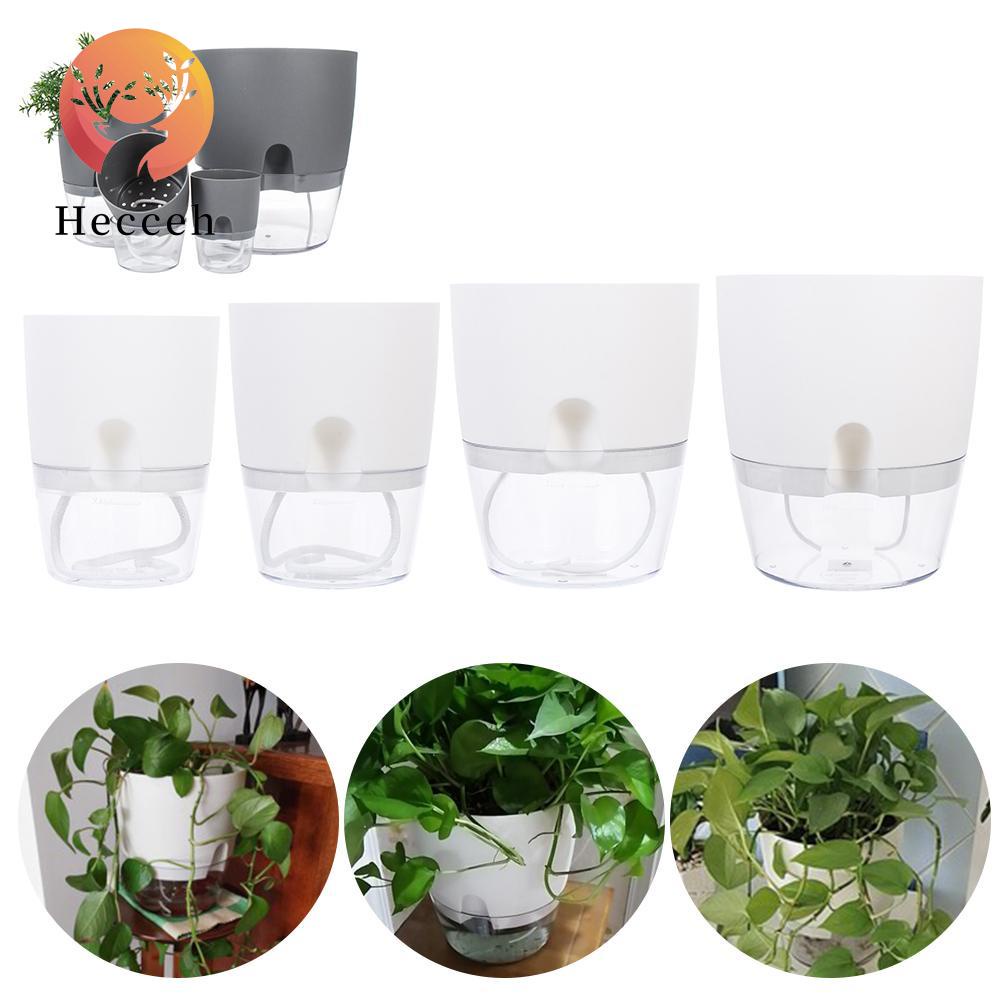 Chậu Trồng Cây Thủy Canh 2 Tầng Hình Tròn Trong Suốt Kèm Dây cotton