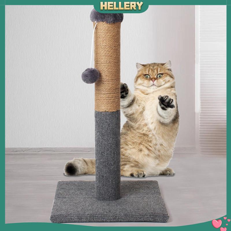 [HelleryVN] Thanh Mài Móng Cho Mèo Cưng