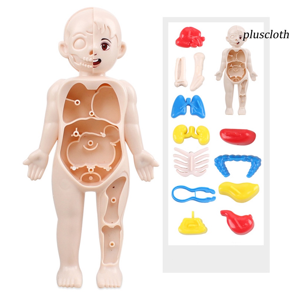 1 Bộ Đồ Chơi Mô Hình Cơ Thể Người Màu Sắc Tươi Sáng Thú Vị Giáo Dục Sớm Cho Bé