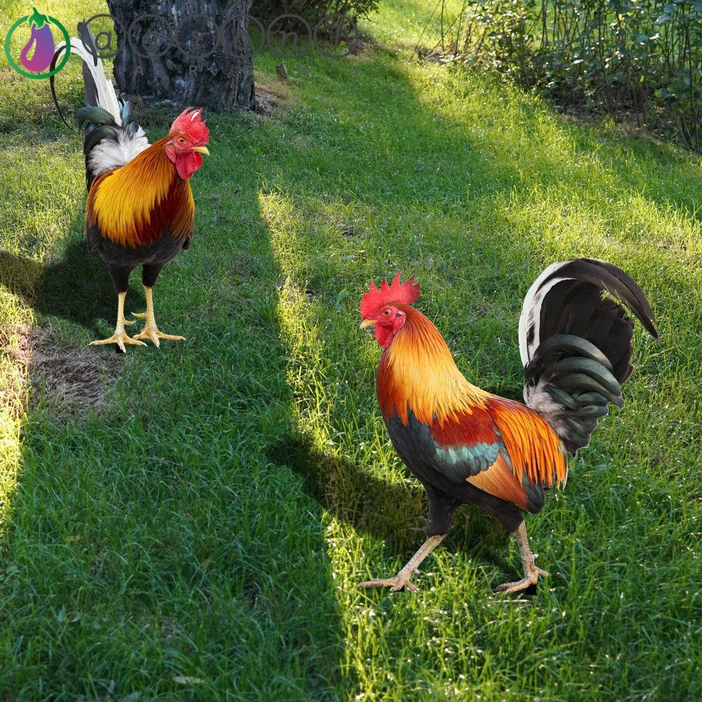 Aaron1 Đồ Chơi Gương Lập Thể Hai Mặt Chống Rỉ Sét Hình Tượng Gà Con Dễ Thương Cho Bé