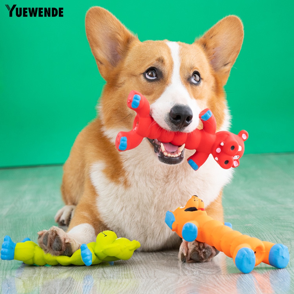 Đồ Chơi Gặm Chống Trầy Xước Chống Ăn Mòn Không Mùi Cho Thú Cưng