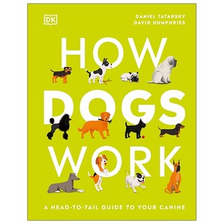 How dogs work: a head-to-tail guide to your canine
