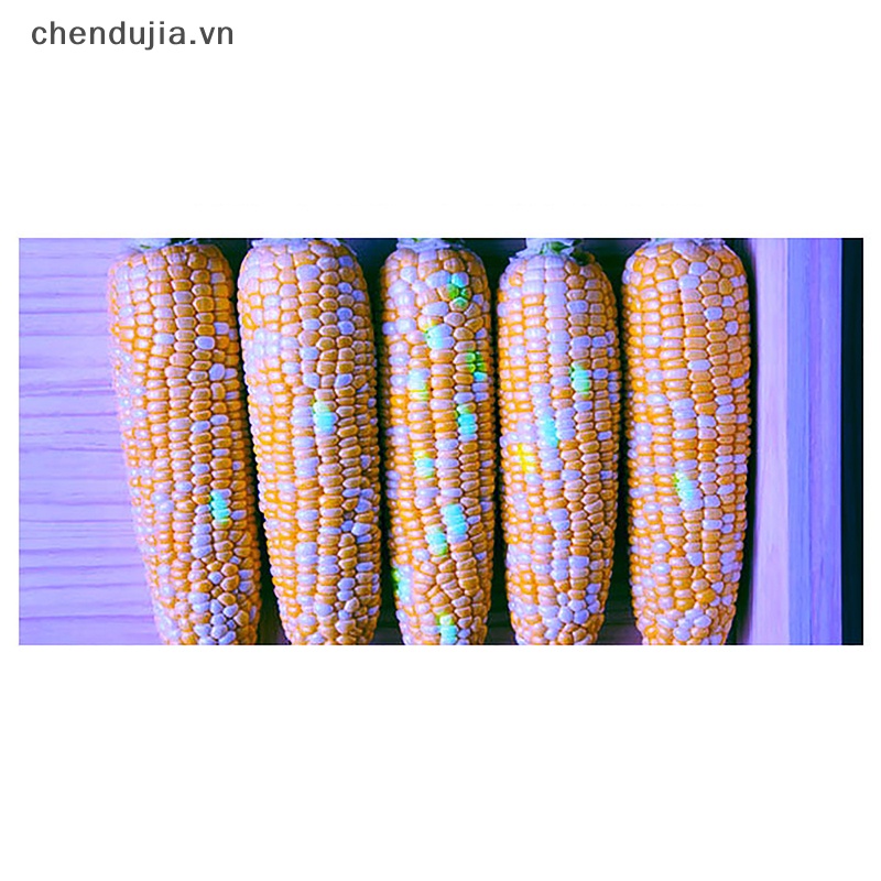 Đèn Pin Mini 395nM 380nM 365nM UV LED Hình Cây Bút Chất Liệu Nhôm