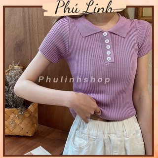 MS551 Áo polo nữ len tăm 5 cúc nhiều màu