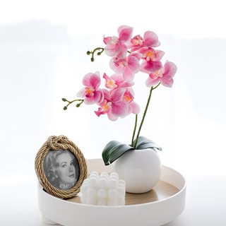 1 nhánh 2 nhánh hoa lan nhân tạo dùng trang trí tiệc cưới / sân vườn
