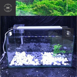 Combo bể cá mini để bàn full phụ kiện tặng sỏi - cây thủy sinh - thức ăn cá nhỏ - nhhân aqua- giao hàng cực nhanh !