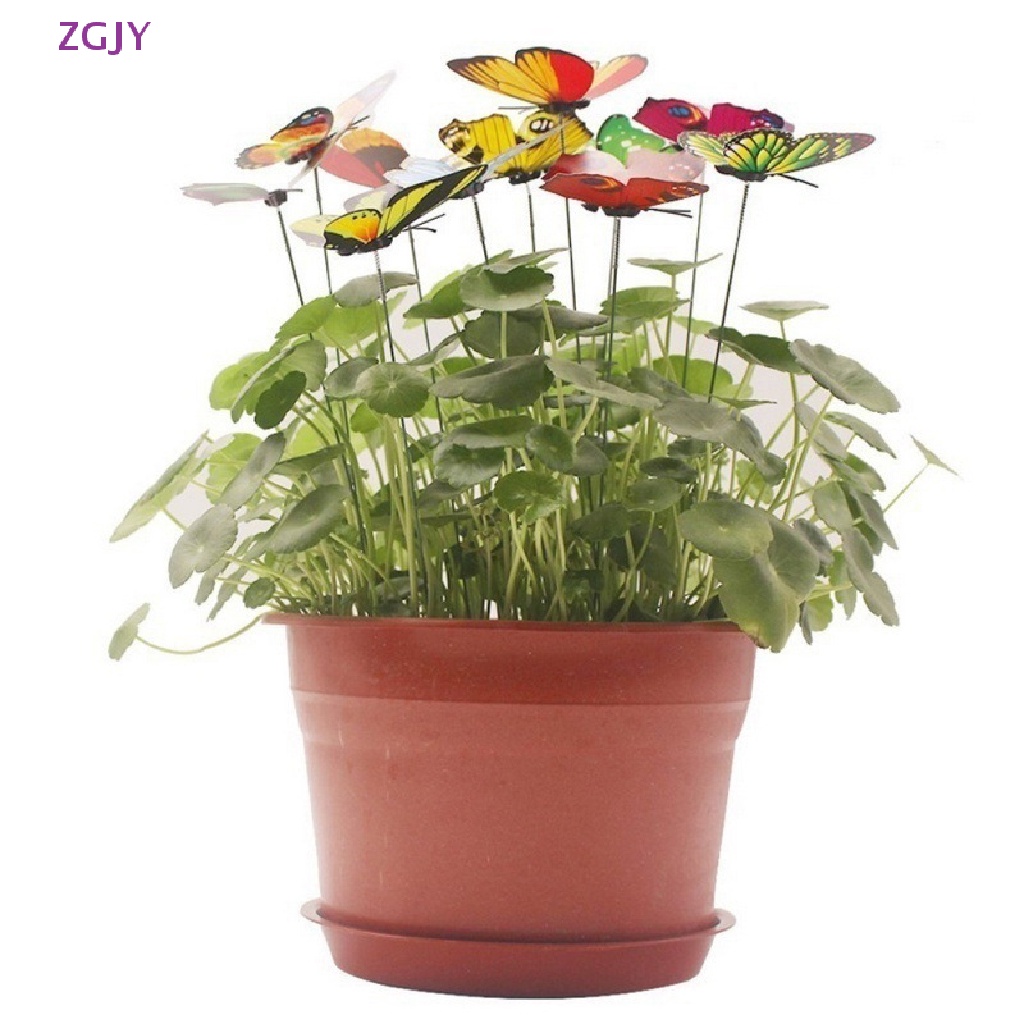 Set 5 / 10 / 25 Chậu Hoa Hình Bướm Nhiều Màu Sắc Mới