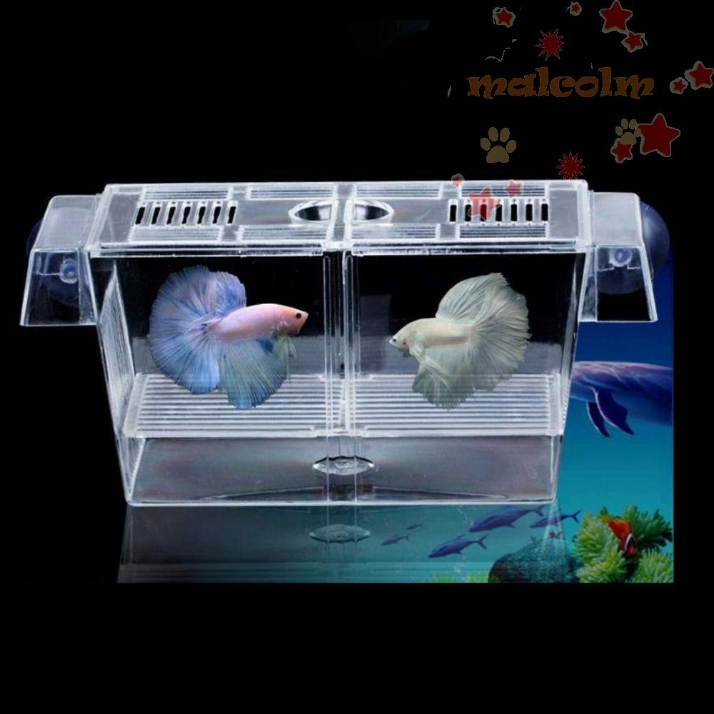 Hộp Nuôi Cá Tôm / Cá Trong Suốt Có Cốc Hút Tiện Dụng