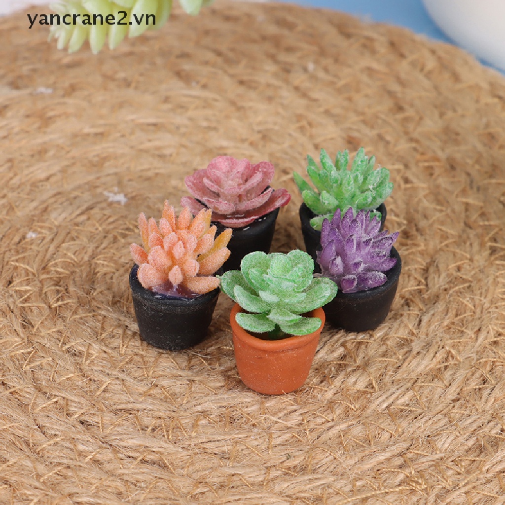Set 5 Mô Hình Chậu Cây Mini 1: 12 Dành Cho Nhà Búp Bê {yancrane2.vn}
