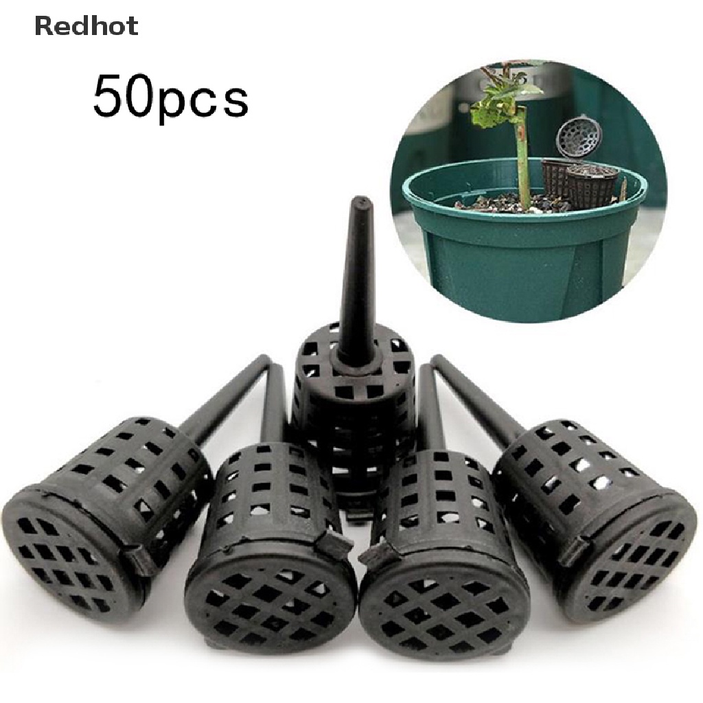 Bộ 50 Giỏ Trồng Cây Hoa Lan Osmocote