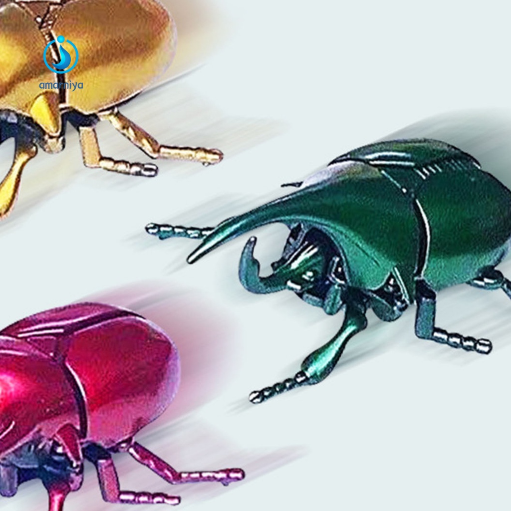 Bọ Cánh Cứng Đồ Chơi Cho Bé