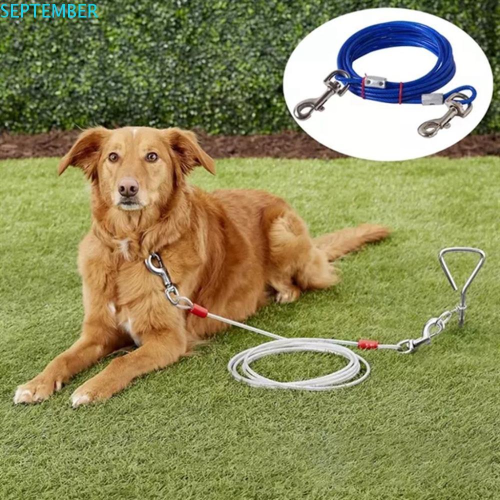 Dây Dắt Thú Cưng Đi Dạo Bền Bỉ Với Lớp Phủ PVC Chống Cắn Mạnh Mẽ Hai Chú Cún / Đi Bộ Đường Dài / Công Viên