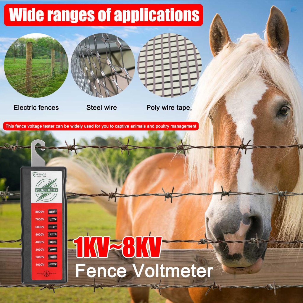 Bộ Dụng Cụ Làm Móng (2 Trong 1000 / 1000 # 8000 &quot;Bằng Silicon Chuyên Dụng Chất Lượng Cao