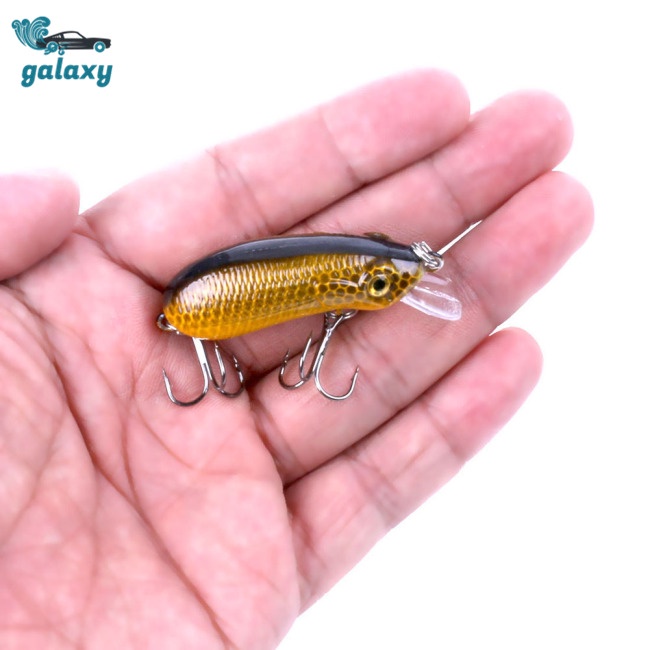 Galaxy Set 5 Mồi Giả Nhử Cá Mini Kèm Hộp Đựng