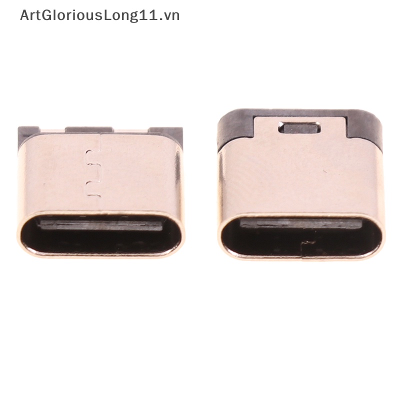 Set 10 Đầu Nối Ổ Cắm USB Loại C 2 Chấu 3A Chuyên Dụng