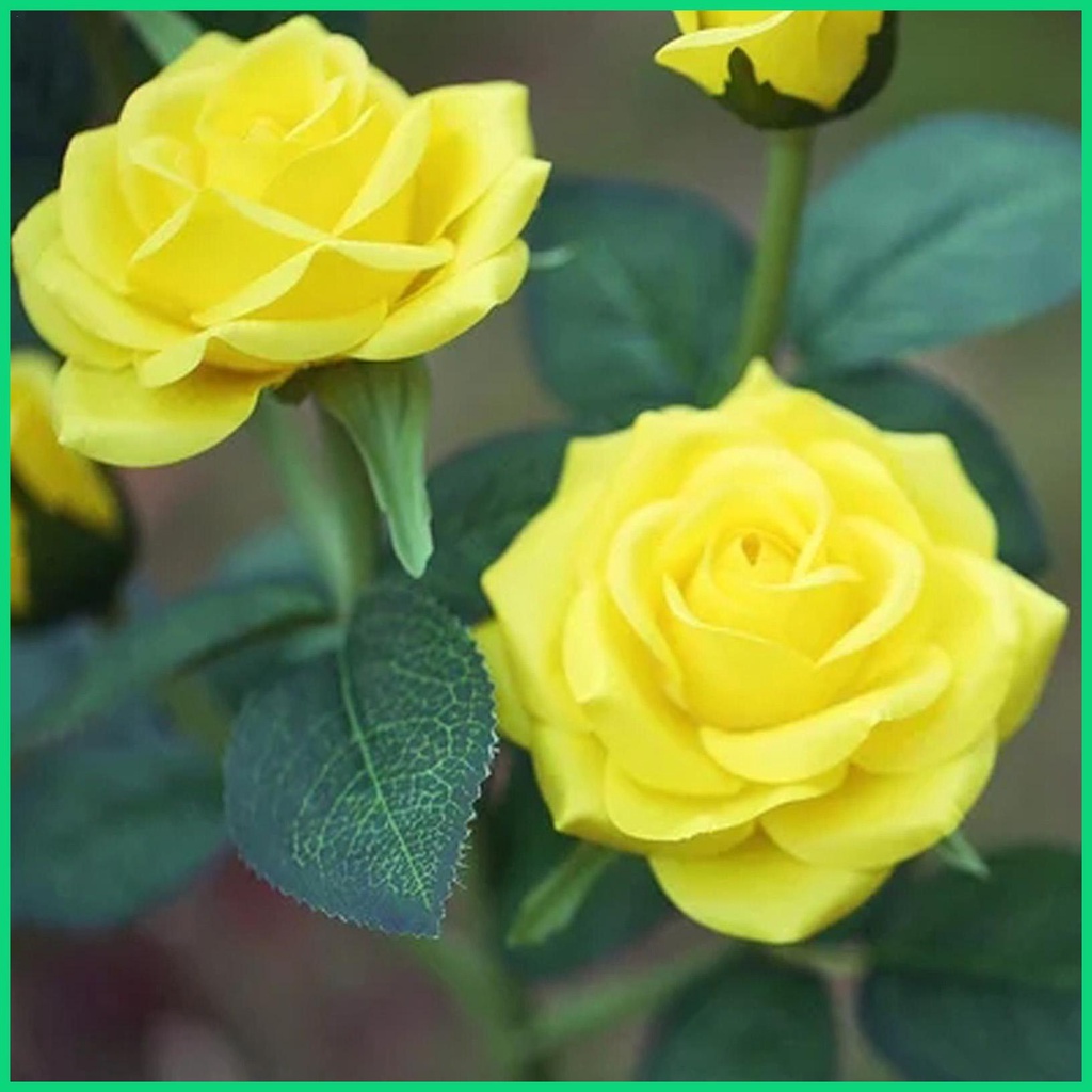 Bộ 2 Đèn LED Năng Lượng Mặt Trời Chống Thấm Nước IP55 Thay Đổi Màu Sắc 7 Màu Tiện Dụng