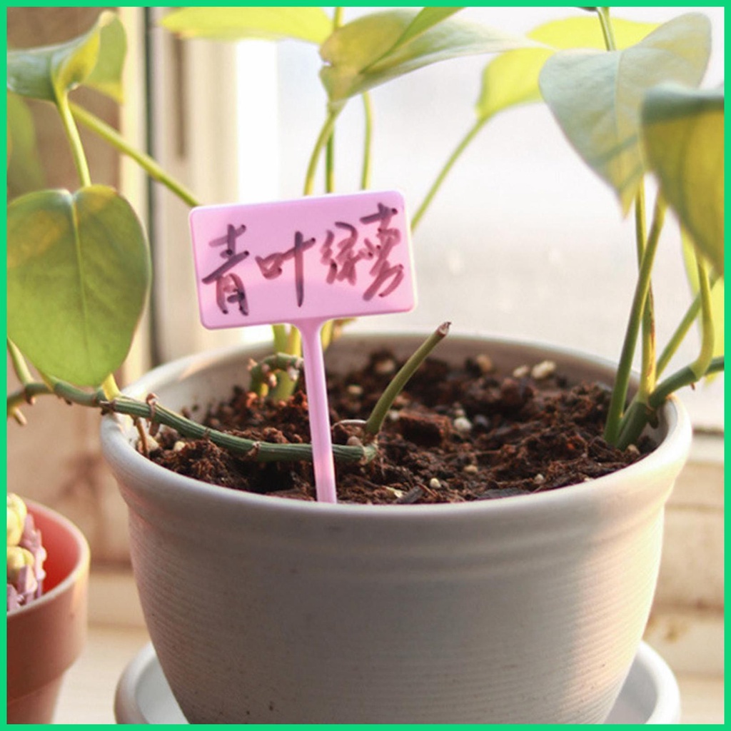Set 12 Nhãn Chữ T Đánh Dấu Cây Trồng Trong Nhà Kính