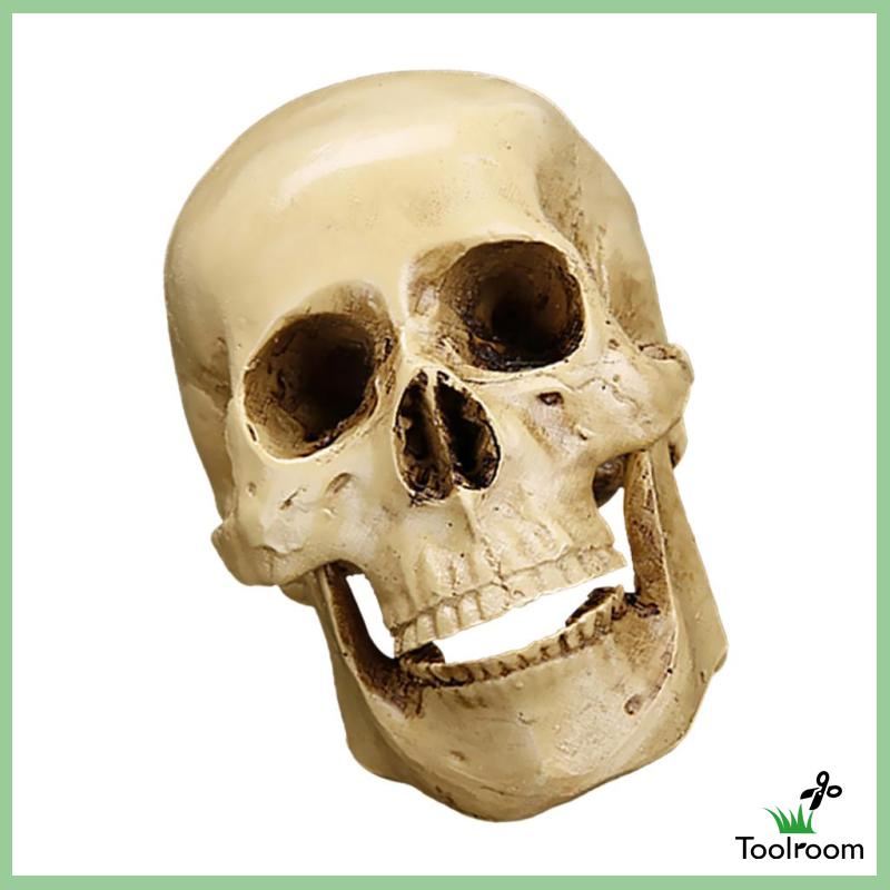 Mô Hình Đầu Lâu Phong Cách Gothic Trang Trí Nhà Cửa