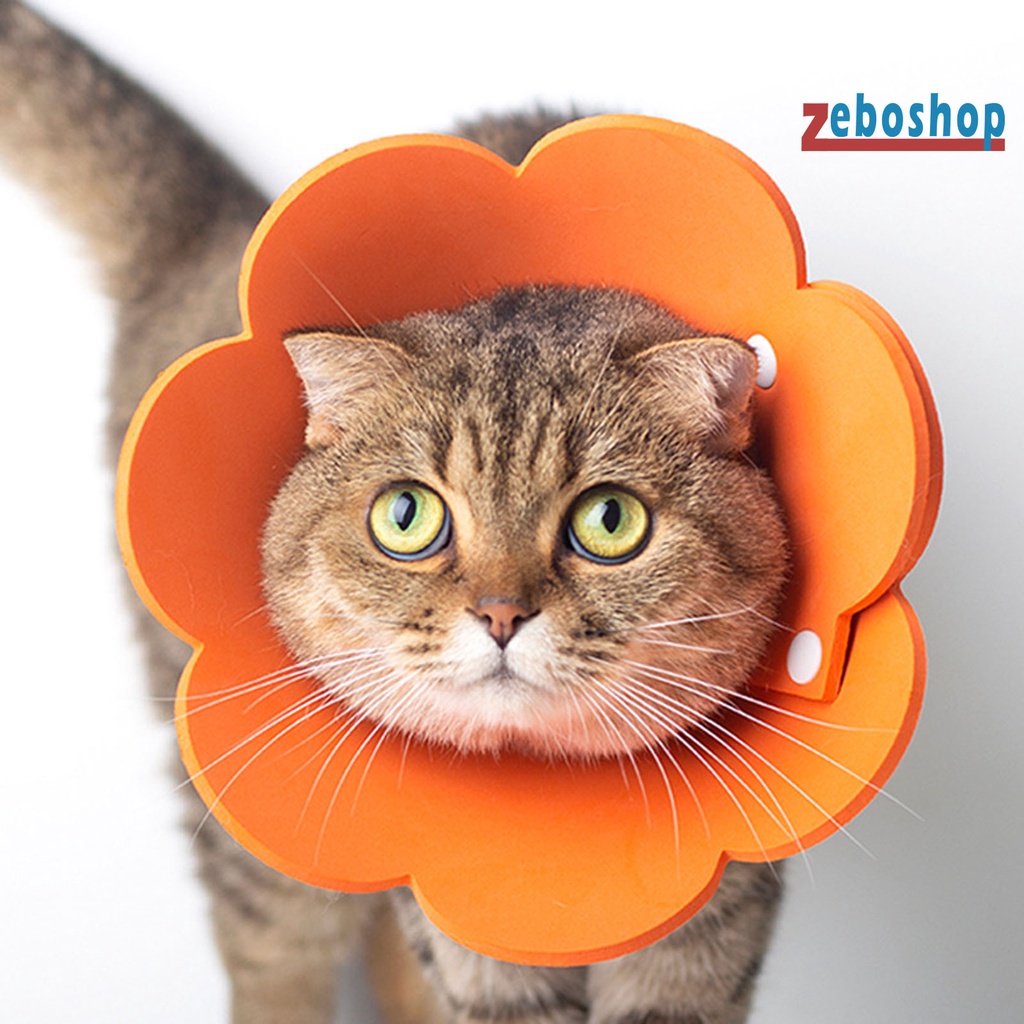 Vòng Đeo Cổ EVA Bảo Vệ Chống Liếm Khi Đi Trong Nhà Dành Cho Mèo