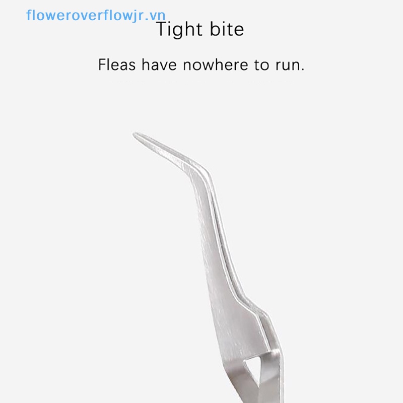 Nhíp Nhổ Lông Mèo Chuyên Nghiệp Bằng Thép Không Gỉ 2 Trong 1