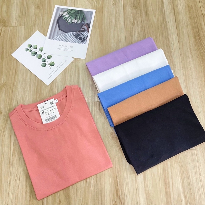 Áo Thun Nữ Cổ Tròn Chely  Ngắn Dáng Suông Cao Cấp Chất Cotton Basic Z.R  Chất Vải Đẹp Gồm 6 Màu Siêu Hot Z1 | BigBuy360 - bigbuy360.vn