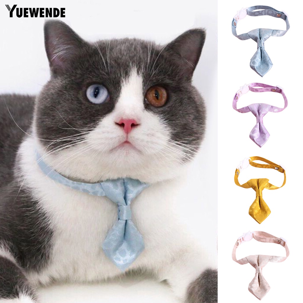 Vòng Cổ Họa Tiết Da Báo Cho Thú Cưng