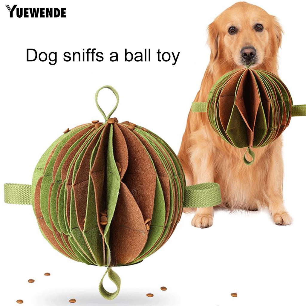 Bóng Đồ Chơi Chống Cắn Linh Hoạt Huấn Luyện Thú Cưng Trong Nhà