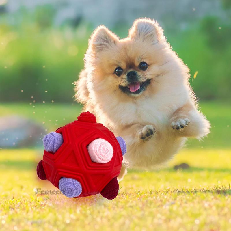 Banh Huấn Luyện Thú Cưng Màu Đỏ