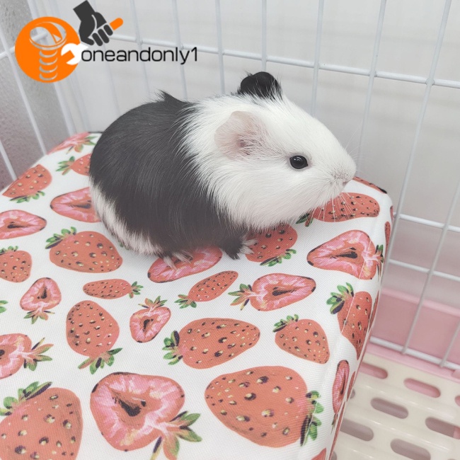 [COD] Giường Ngủ Cotton Ẩn Dưới Đáy Không Đáy Cho Thỏ / Nhím / Heo Guinea