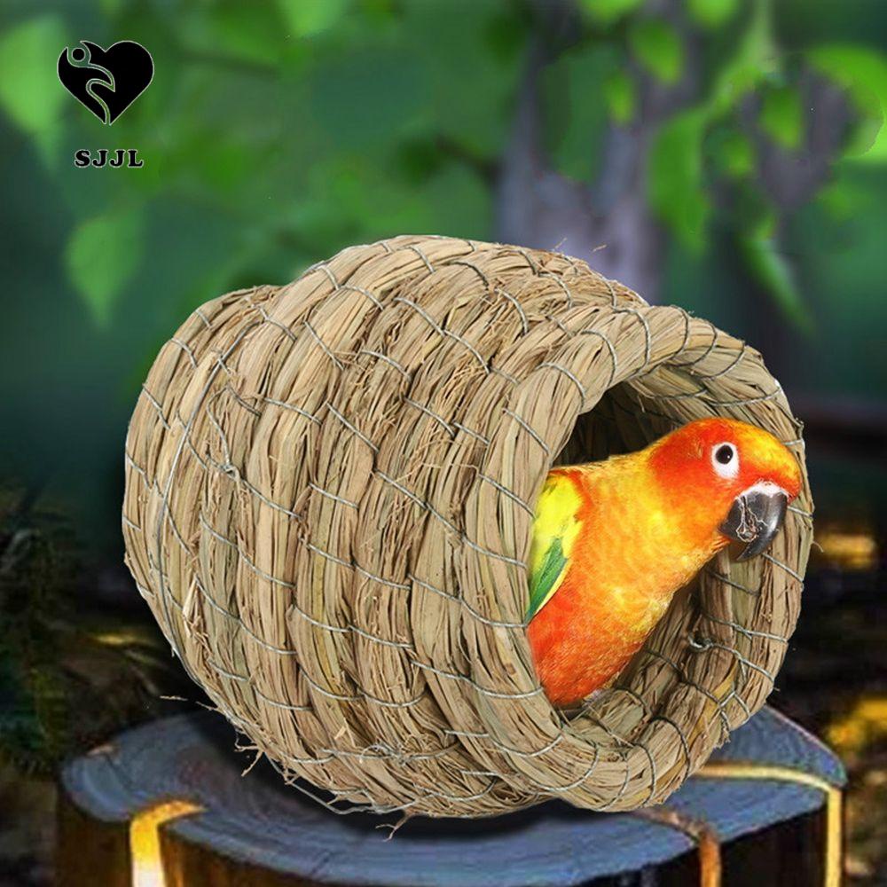 Tổ Chim Chất Lượng Cao Tiện Dụng