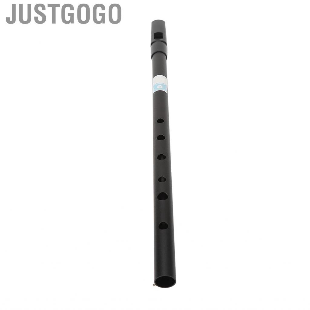 Justgogo D Tinwhistle  Precise Holes Whistle Flute Clear  Accurate  Easy Tuning for Performances