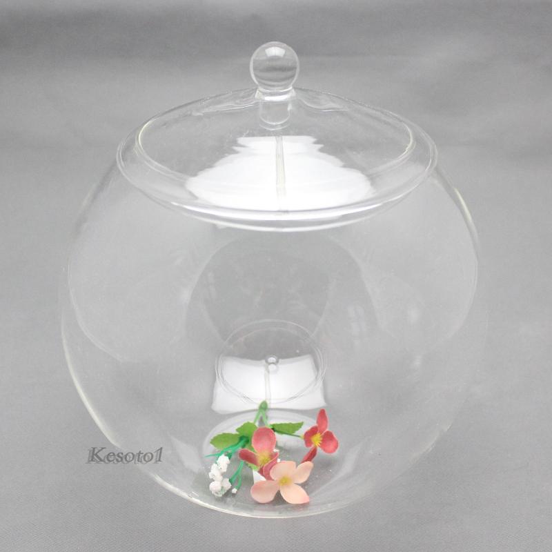 Thủy tinh terrarium centerpiece hộp đựng cây thủy tinh tự làm cho phòng ngủ nuts