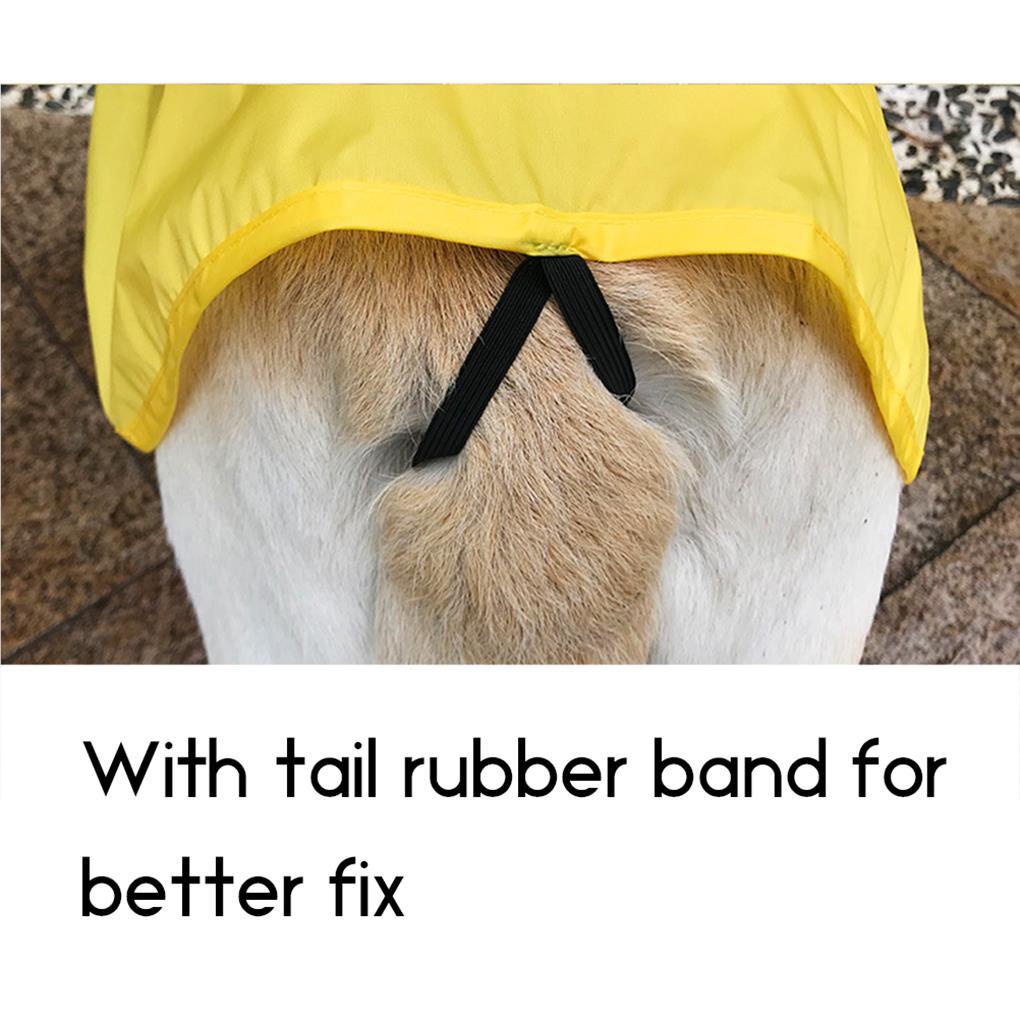 Áo Mưa Trọng Lượng Nhẹ Thoáng Khí Chống Thấm Nước Dành Cho Thú Cưng