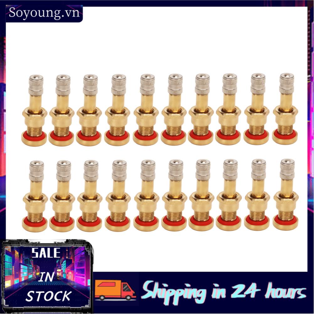 Soyoung Wheel Valve Stem  Stable Performance 20Pcs Truck Tubeless Tyre for 9.7mm Hole Van