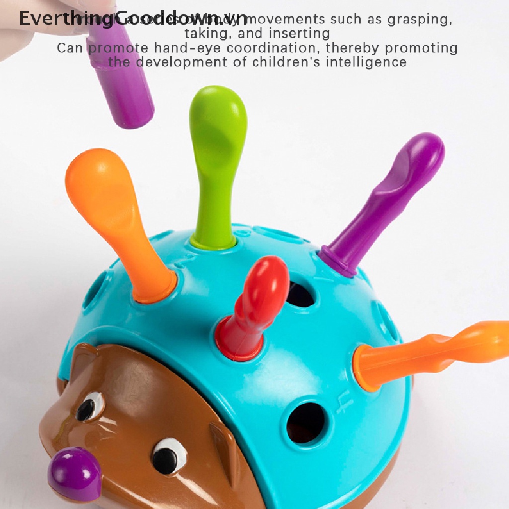 Everthinggooddown 1 Đồ Chơi Xếp Hình Nhím Đầy Màu Sắc Giáo Dục Theo Phương Pháp Montessori DIY vn