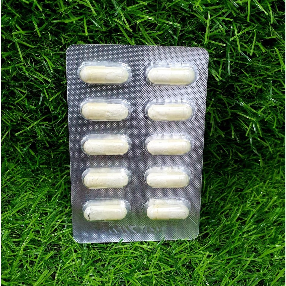 Viên AQUARIUM-1 -Trị cá tép chết lai rai - Shop chuyên sỉ phụ kiện thủy sinh