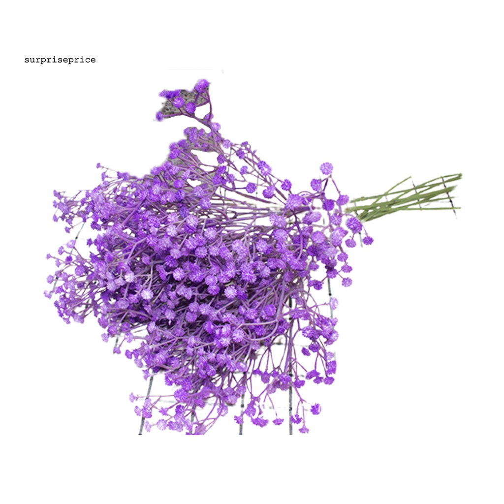 Bó Hoa Gypsophila Nhân Tạo Bằng Nhựa Thân Thiện Với Môi Trường Dùng Cho Văn Phòng