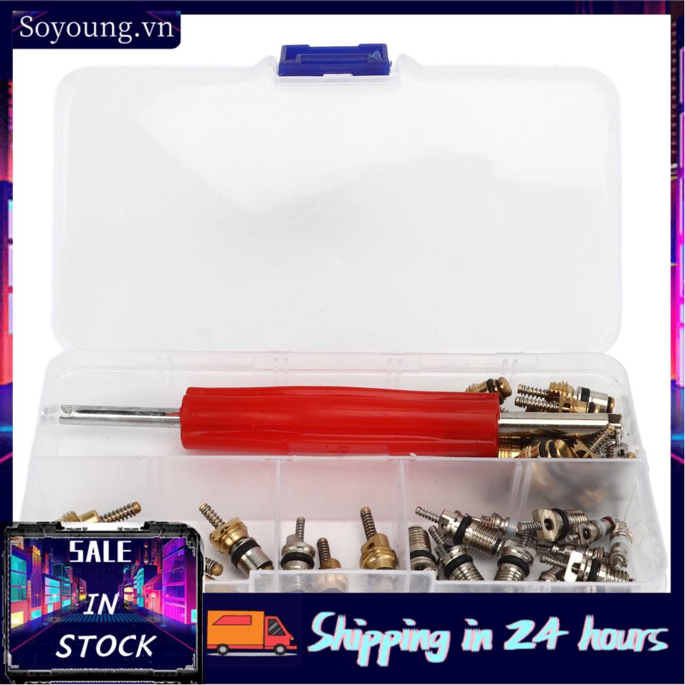 Soyoung AC Valve Core Repair Set  Multipurpose Refrigeration Tire Stem Lightweight Aluminium Copper 41Pcs Portable with Remover for Car Home