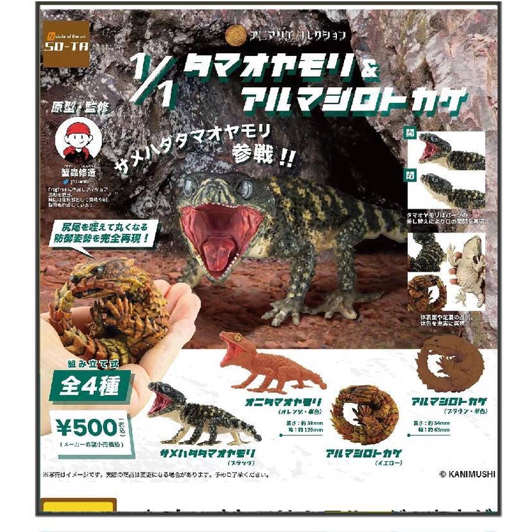 Mô Hình Đồ Chơi Con Tắc Kè 4Vv Trang Trí