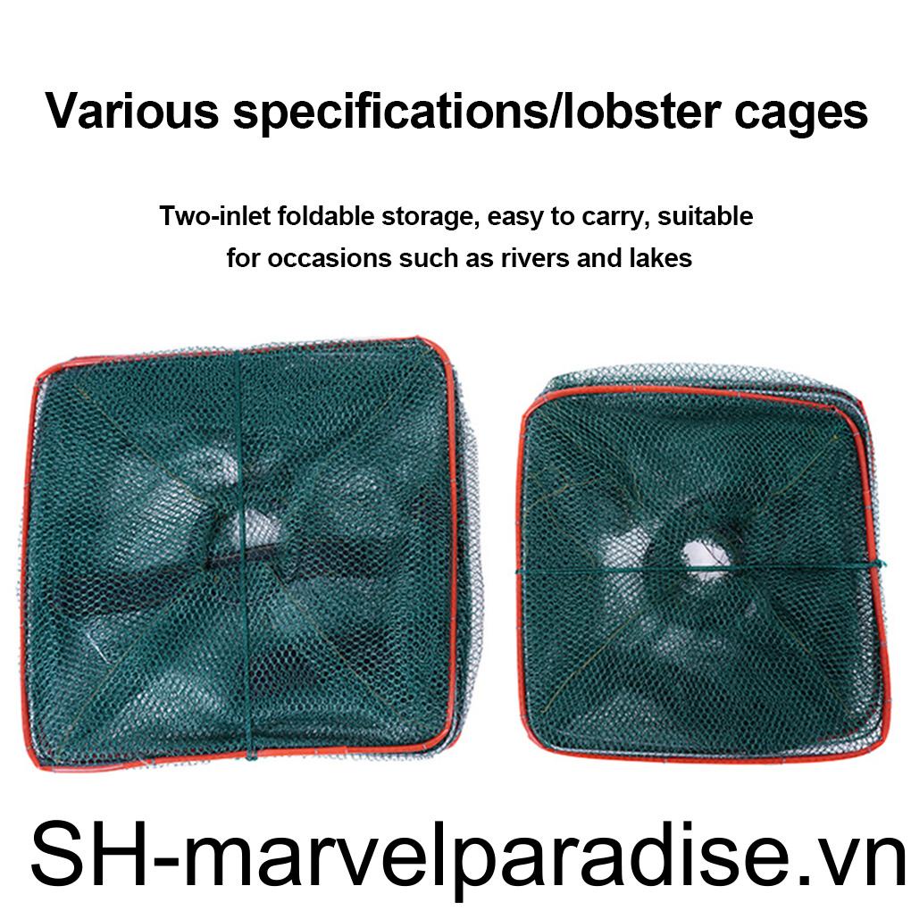 Lồng Lưới Bắt Cá Bằng Dây Nylon Có Thể Gập Lại Màu Sắc Ngẫu Nhiên