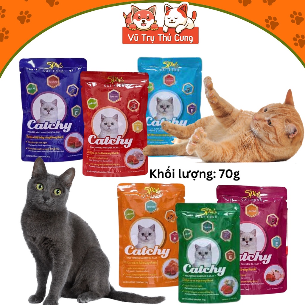 Pate Catchy 5Plus cho mèo dạng gói 70g, Thức ăn ướt cho Mèo cung cấp nhiều dinh dưỡng