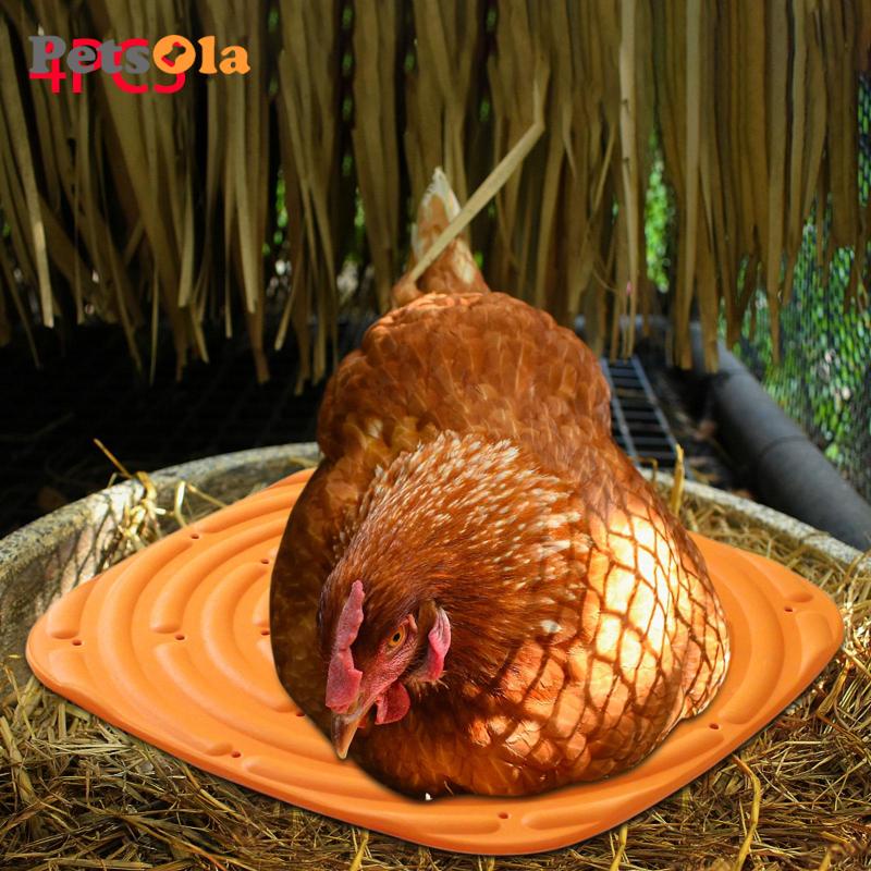 Set 4 Đệm Hộp Đựng Trứng Gà Koolsoo21 Tiện Dụng